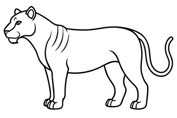 Liger Outline Vector