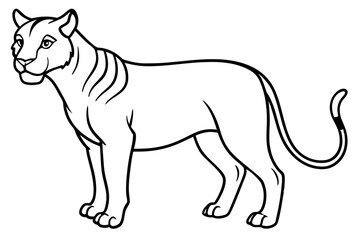 Liger Outline Vector