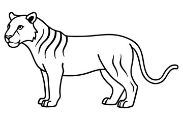 Liger Outline Vector