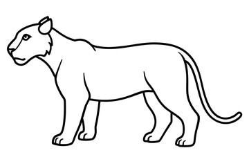 Liger Outline Vector