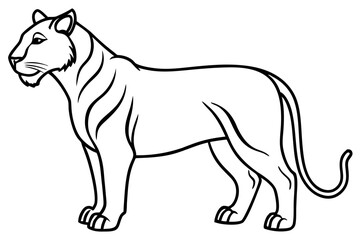 Liger Outline Vector
