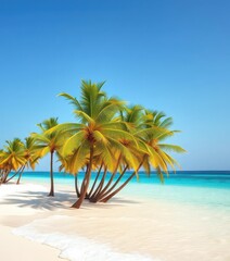 Obraz premium Palm trees sway gently over white sand beach, turquoise water laps shore, idyllic, peaceful, coastline