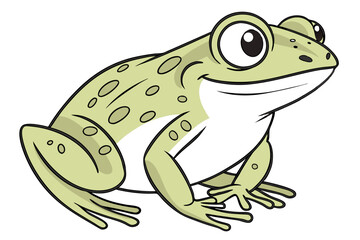 frog on white background