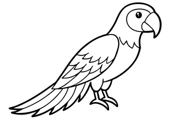 Macaw Line Drawing