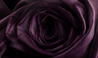 Close-up of a velvety purple rose petal, showcasing intricate details and soft texture