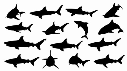 set of sharks silhouette vector