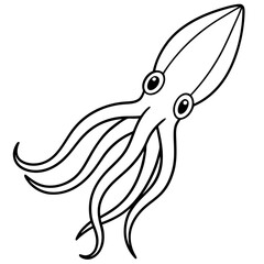 Elegant Squid Outline Illustration