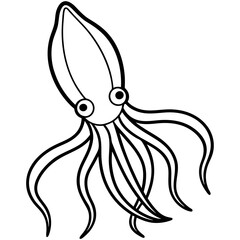 Elegant Squid Outline Illustration