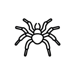 Tarantula Icon Outline Vector Simple Arachnid Illustration Dangerous Animal Symbol Graphic