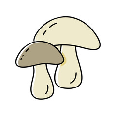 Illustration of edible mushrooms, fungi, champignon, mushroom drawing, food, autumn harvest