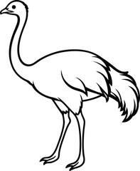 Obraz premium Ostrich Silhouette of Vector illustration African ostrich silhouette illustration vector Minimal ostrich bird vector silhouette Male of African ostrich