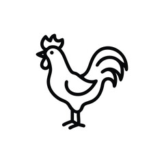 Outline Illustration Of A Chicken Icon Minimalist Design Isolated On White Background