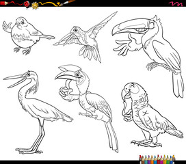 cartoon wild birds species animal characters set coloring page