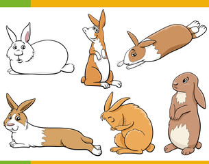 cute cartoon miniature rabbits animal characters set