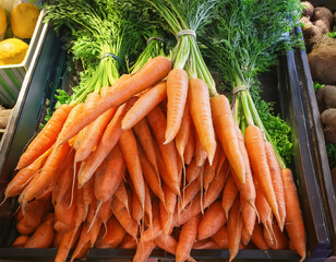 fresh organic carrots with greens on farmers market counter close up