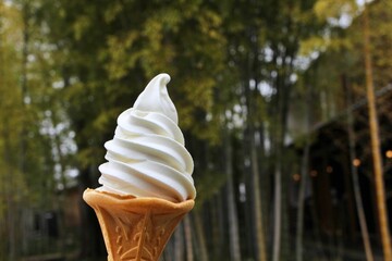 Soft serve ice cream and bamboo forest garden in Kurashiki, Japan
