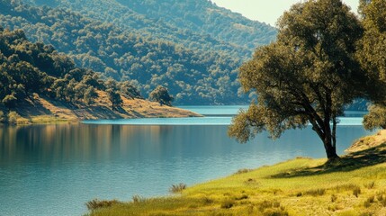 Naklejka premium Nacimiento Lake: Serene Shores Embraced by Lush Forests and Majestic Hills