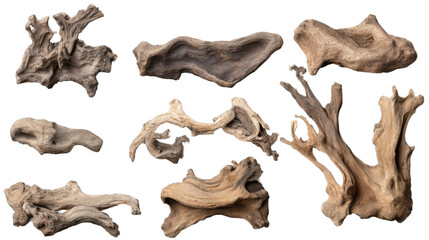 Fototapeta premium Driftwood Pieces Collection: An assortment of naturally weathered and unique driftwood pieces, offering a rustic and organic aesthetic for craft projects and decor, showcasing nature's artistry.