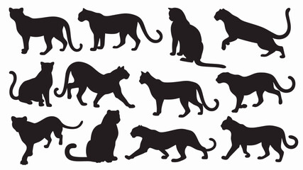 set of  jaguar silhouette vector