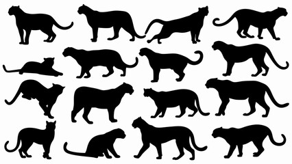 set of  jaguar silhouette vector