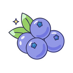 Fresh blueberries illustration vector graphic design for healthy eating and summer fruit themes
