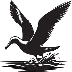 Obraz premium Albatross Silhouette Black Vector High Quality Vector Image. The white background