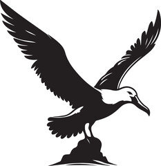 Fototapeta premium Albatross Silhouette Black Vector High Quality Vector Image. The white background