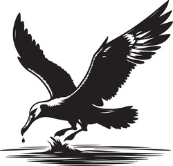 Obraz premium Albatross Silhouette Black Vector High Quality Vector Image. The white background
