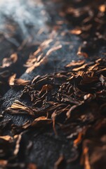 Close-up of dried leaves on a dark surface, creating a natural and earthy atmosphere with subtle smoke in the background.