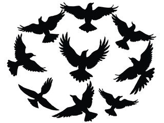 Series of eagle flight poses in silhouette – dive, soar, glide, perch – in a circular pattern