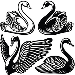 Fototapeta premium set-of-swan-silhouette-set-vector-image (35).eps