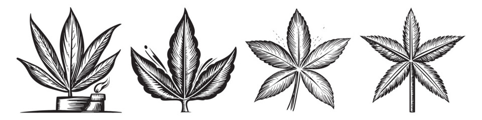 Obraz premium Vintage Botanical Illustrations of Various Leaf Designs and Shapes, logo design, engraving design, vector illustration