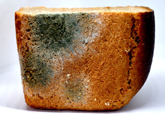 Moldy rye bread in close-up on a light background. Bread, unsuitable for food. Mold due to improper storage of the product. Mold stains on bread. Selective focus.