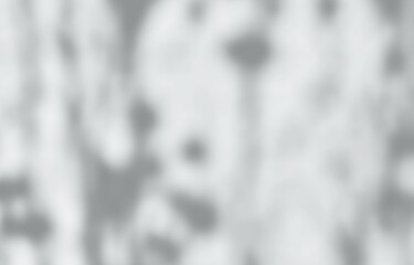 White gray shadow of leaves tree plant on white wall. Sunlight shining through window overlay effect shadows