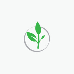 Green leaf, bio leaf, eco leaf, nature leaf, botany, spring, botany, organic, natural, eco, leaves fully editable vector logo template