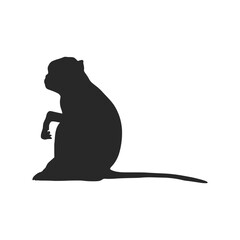 Realistic Monkey Silhouette, vector art.
