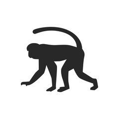 Realistic Monkey Silhouette, vector art.