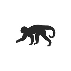 Realistic Monkey Silhouette, vector art.