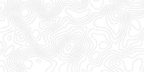 Abstract topographic white background. Seamless wavy lines patter. Geography map grid backdrop. Business concept design. Wave paper curved reliefs background.