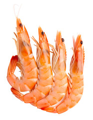 Top view of four orange cooked or boiled prawns in vertical isolated on white background and generated with AI