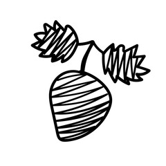 berries.raspberry, strawberry, cherry. isolated on white background. berries doodle. Assorted berries for printing, applique, greeting cards and textiles.