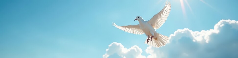Obraz premium White dove in flight, sunlit blue sky, fluffy clouds, cloud, bird, image
