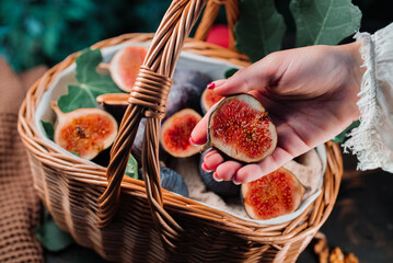 Woman hands fresh ripe fig, demonstrates juicy pulp inside fruit. Ficus carica.