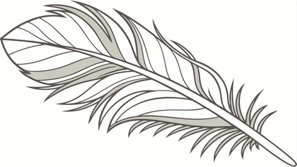 Obraz premium feather isolated on white