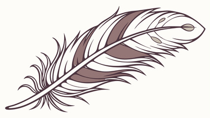 Obraz premium feather vector illustration