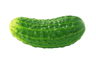 One fresh cucumber isolated on white background