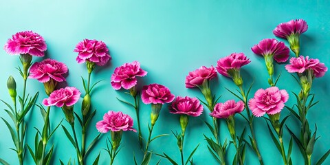 Obraz premium Dianthus Pinks Flat Lay, Bold High-Contrast Flower Photography, Dutch Angle, Copy Space