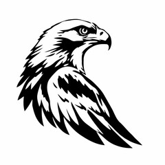 Hawk Head Vector Illustration – Bird of Prey Silhouette