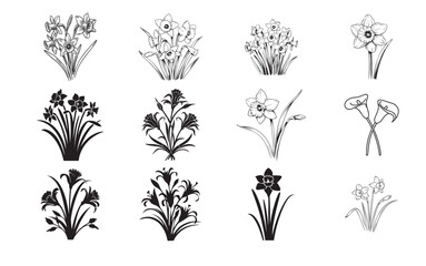 Daffodil Flower Vector Icons &ndash; Elegant Spring Floral Illustrations Set