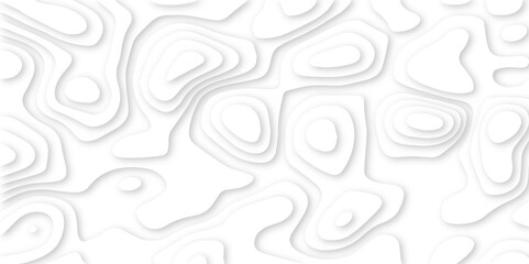 minimalist 3d cutout shapes forming a soft pattern. white topographic map inspired layered paper texture.